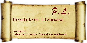 Promintzer Lizandra névjegykártya